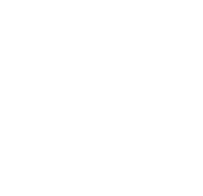 秋